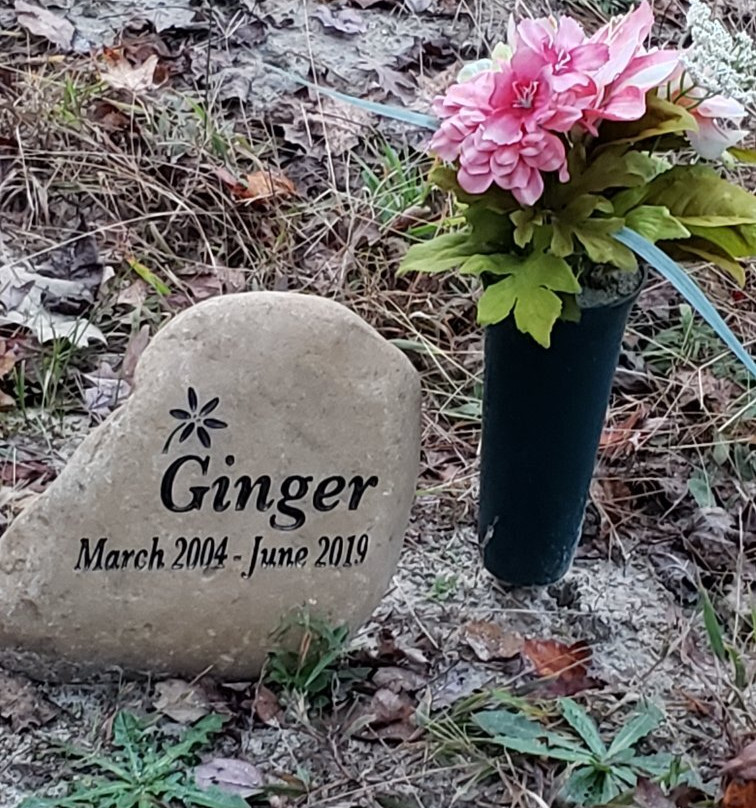 Sandman's Workshop-皮金福奇必去景点