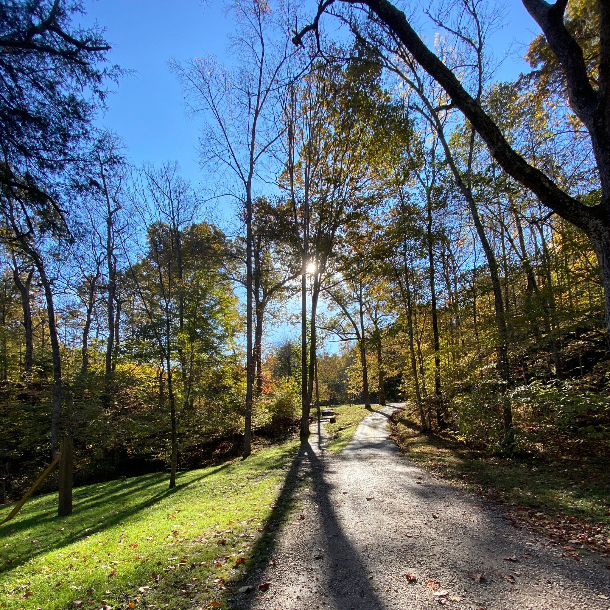 Carter Caves State Resort Park - Lodging-官方