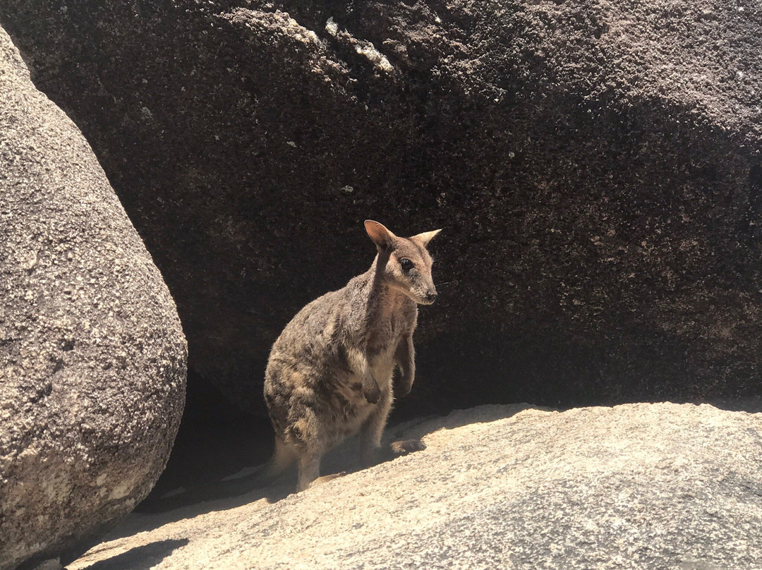 Magnetic Island Tours-Nelly Bay必去景点