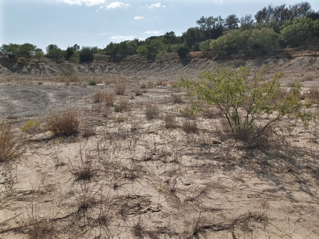 Mineral Wells Fossil Park-矿泉井城必去景点