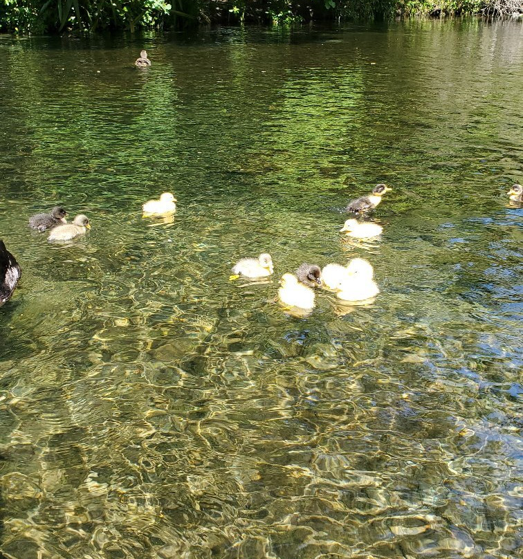 Millbrook Reserve景点图片