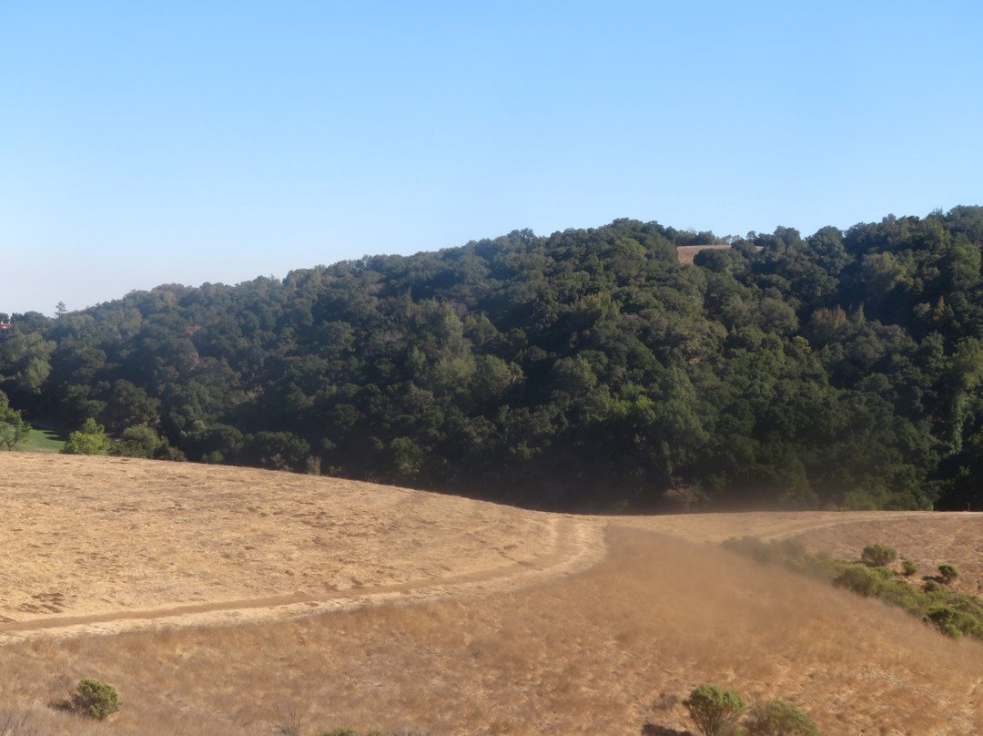 Foothills Park-帕罗奥多必去景点