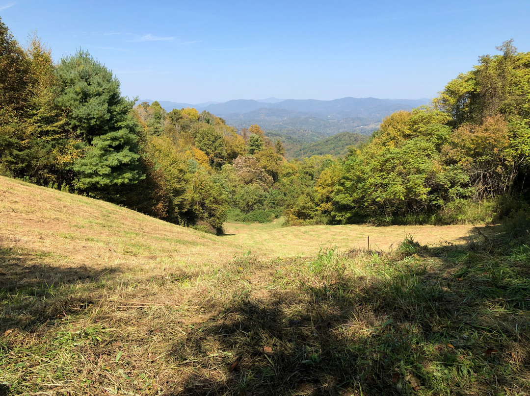 Wild Harmony Hiking Trail Park景点图片