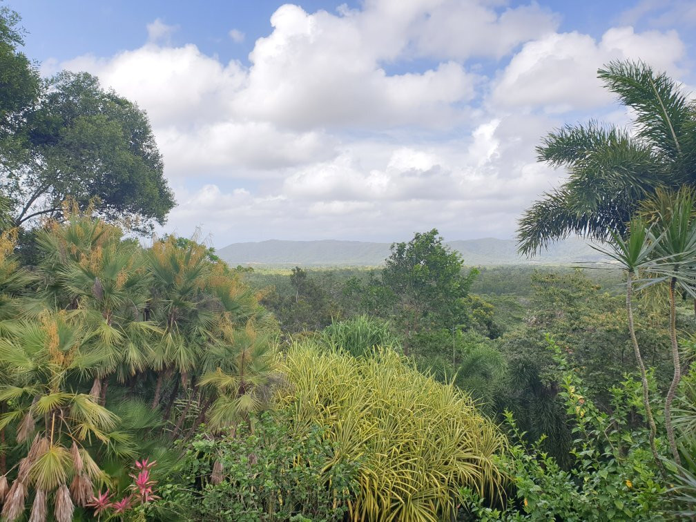 Forest Creek旅游攻略图片
