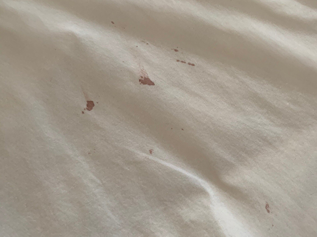 President Hotel Mito主图