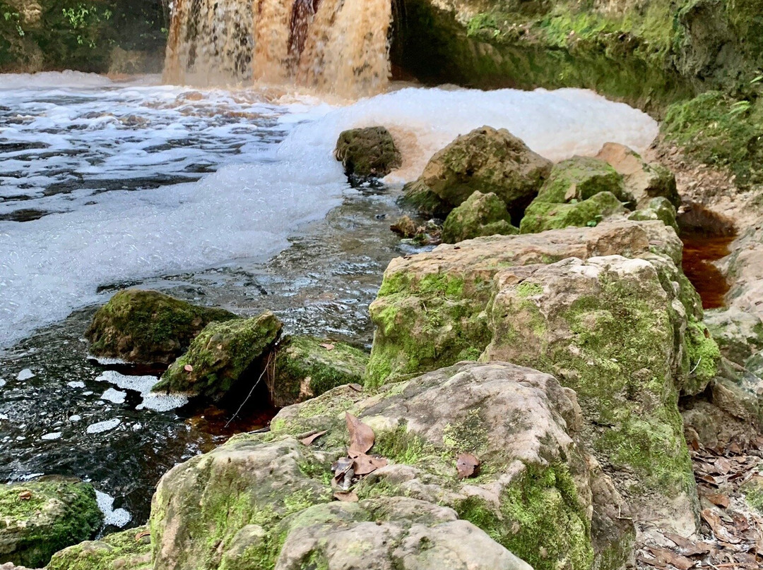 Falling Creek Falls景点图片