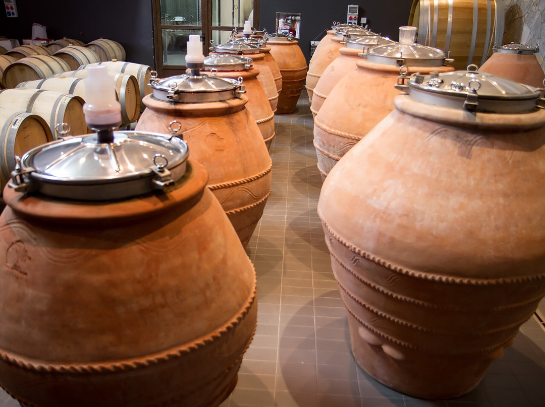 Wine Tasting at Winery Lipovac-Rijeka Crnojevica必去景点
