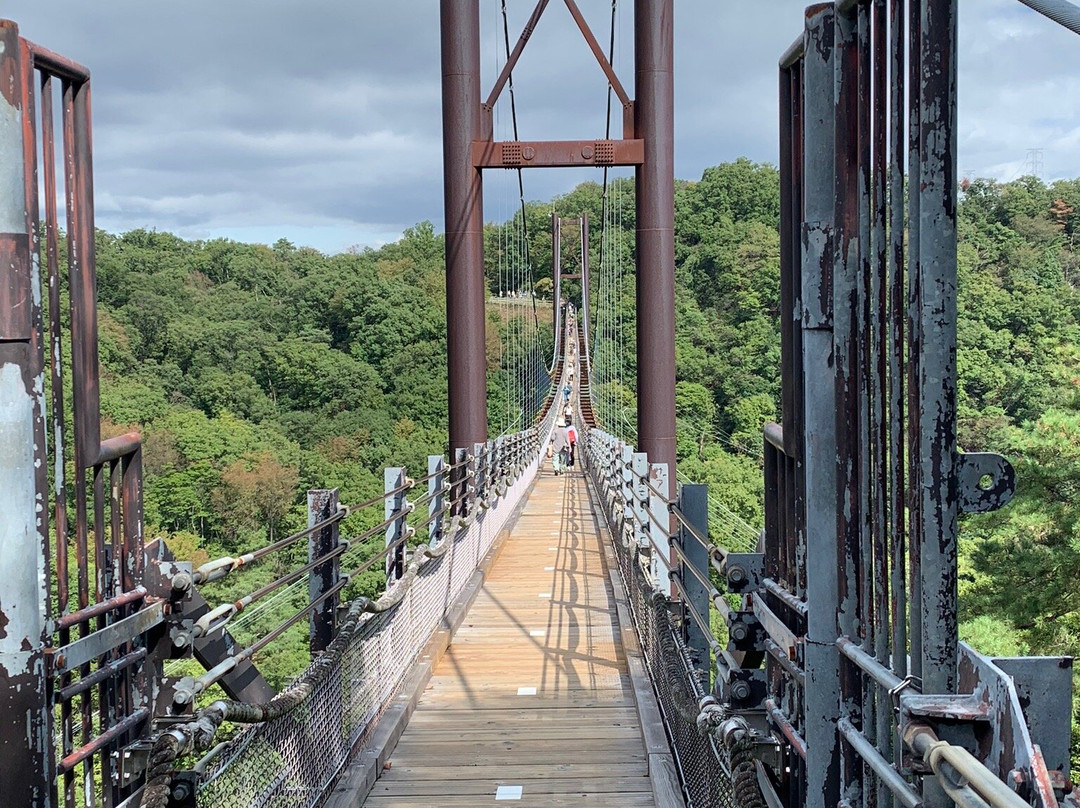Hoshi no Buranko Bridge-交野市必去景点