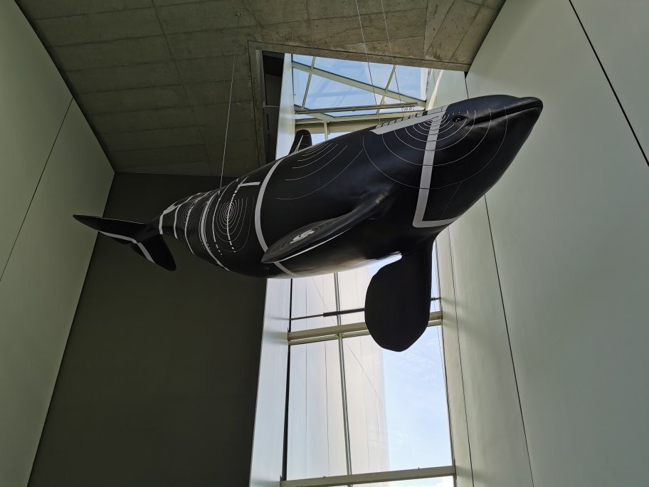 Ozeaneum-施特拉尔松德必去景点