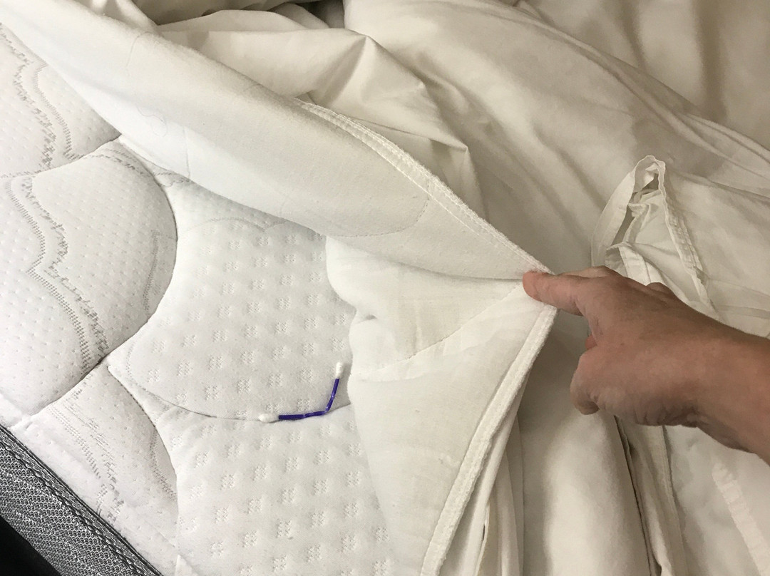 Country Inn & Suites by Radisson, Tuscaloosa, AL主图