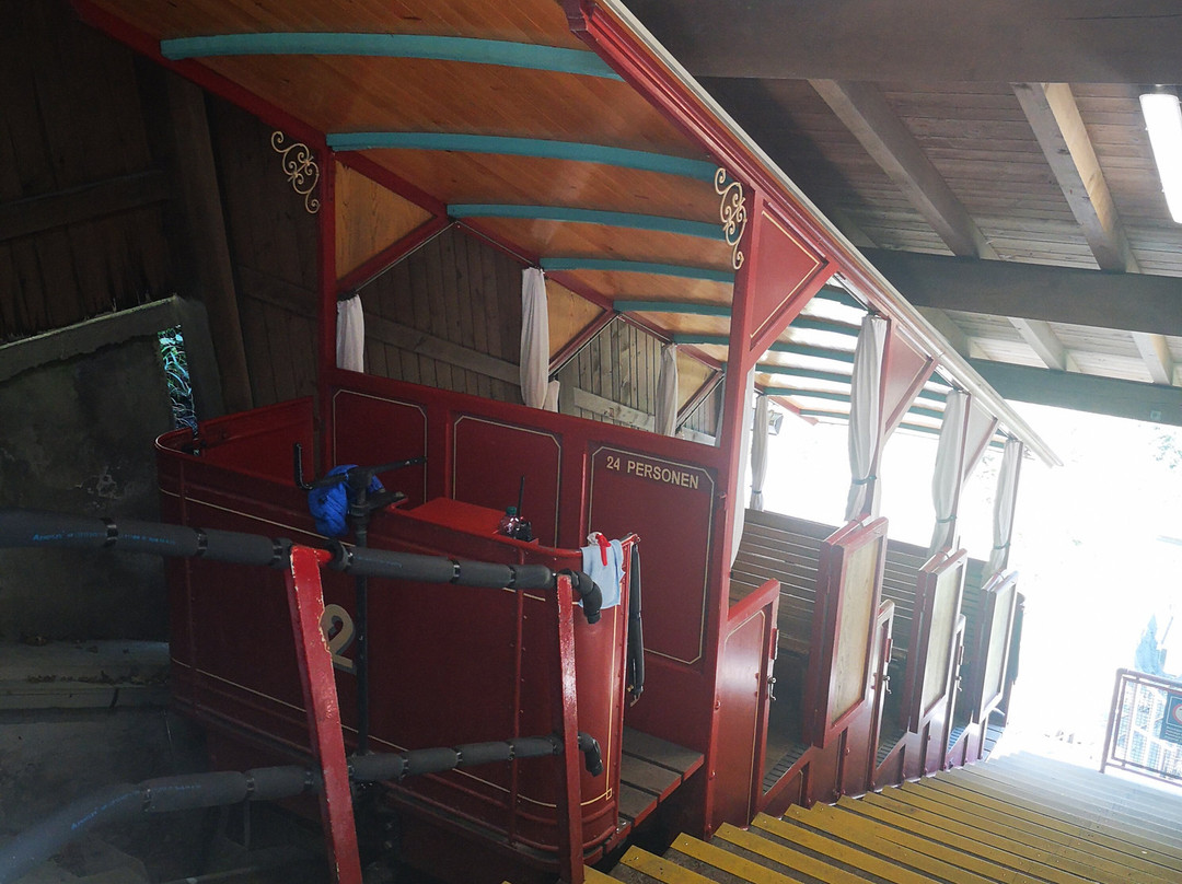 Reichenbachfall funicular-Meiringen必去景点