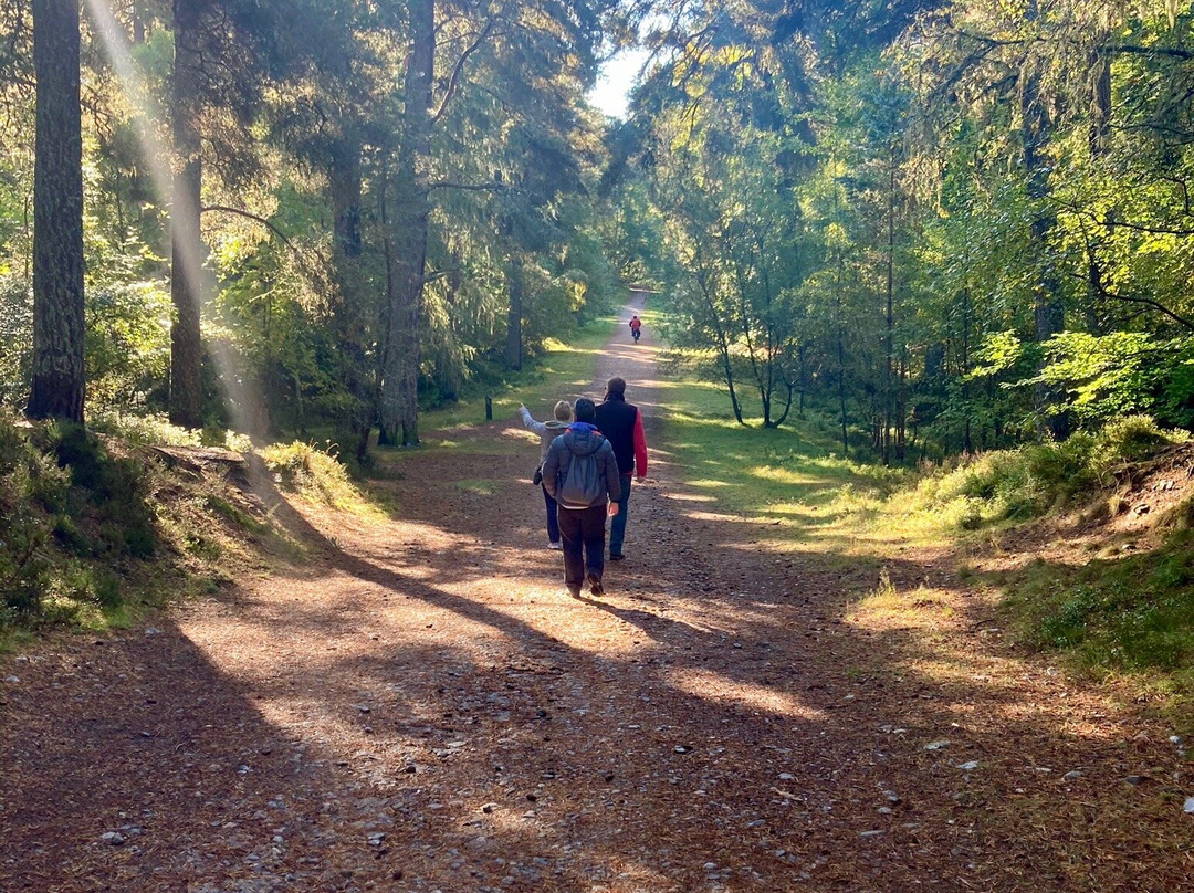 Anagach Woods-Grantown-on-Spey必去景点