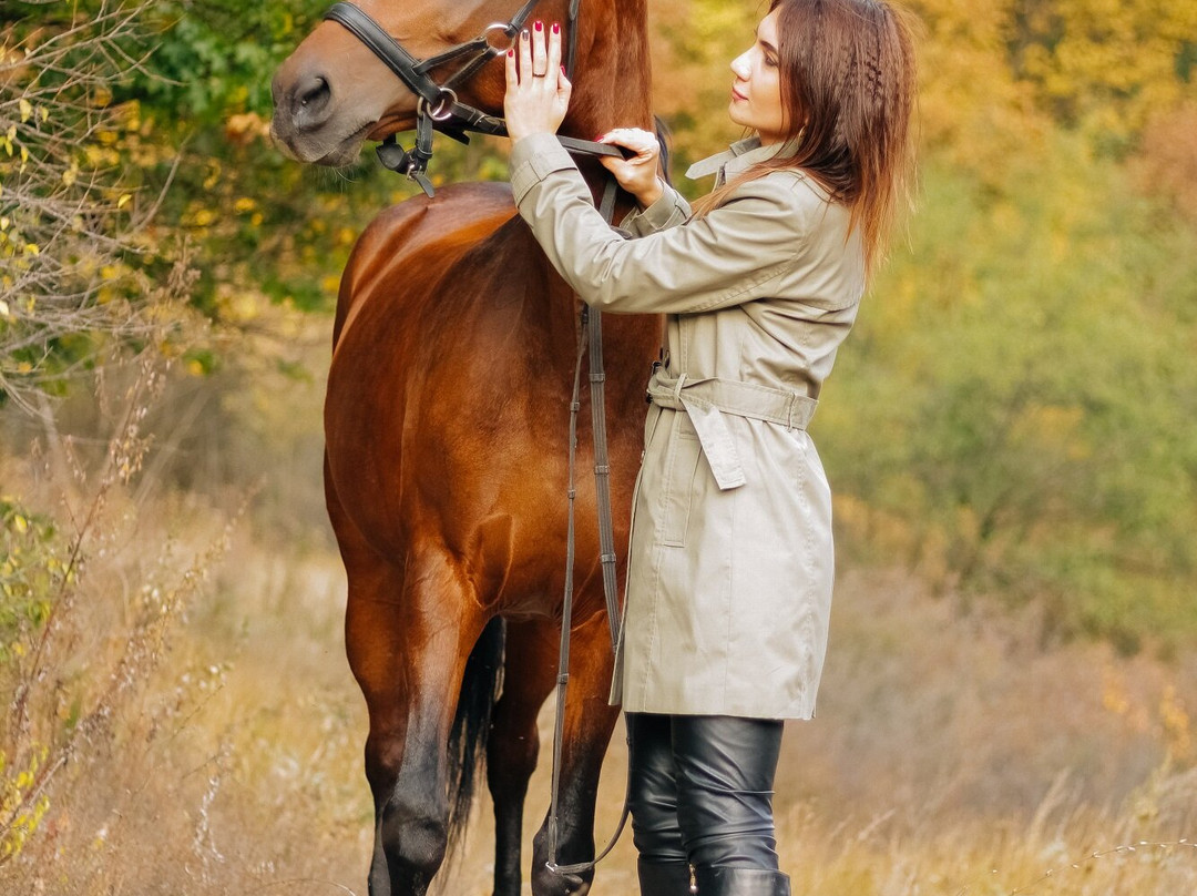 Cossack Horse Riding Club景点图片