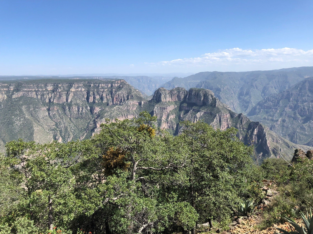 Mirador La Sinforosa-Guachochi必去景点