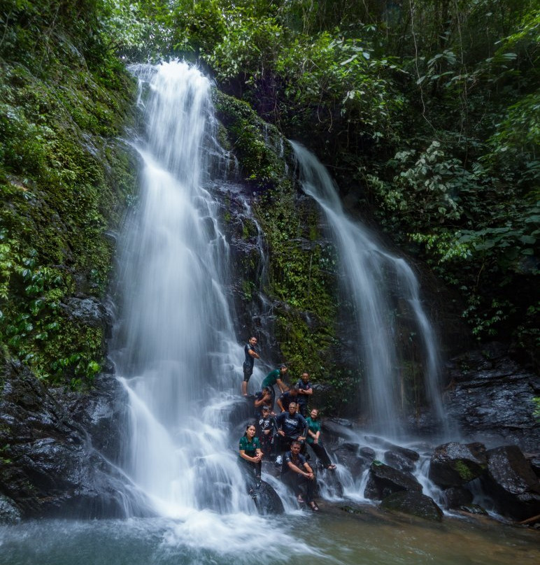 Ulu Temburong National Park景点图片