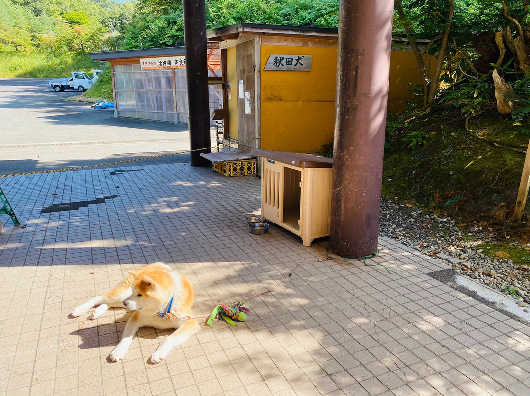 Tazawako Kyoei Palace-仙北市必去景点