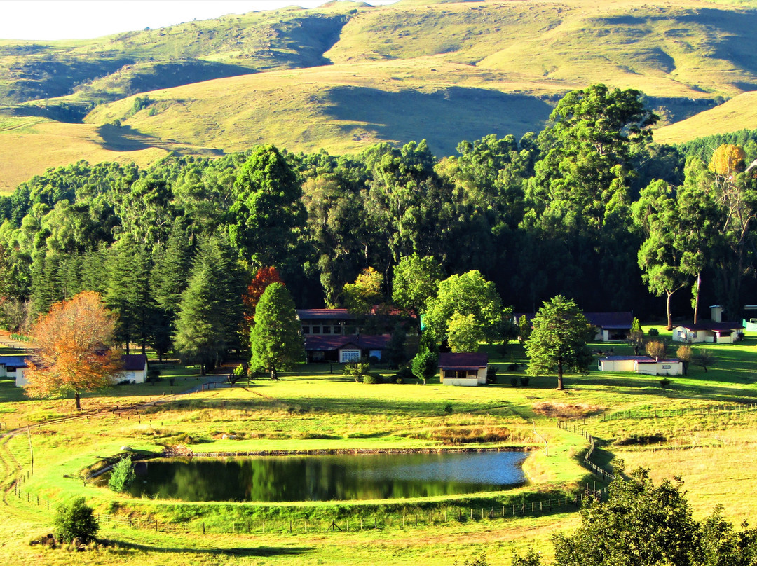 Kamberg Mountain Shadows主图