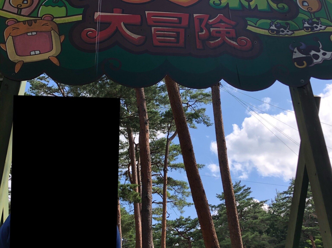 Fuji Subaru Land景点图片