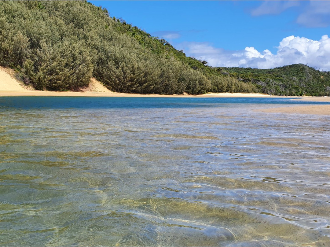 Great Beach Drive 4WD Tours-Noosa Heads必去景点