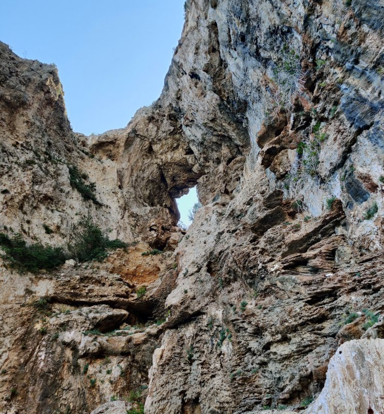 Blu Marine Gulf of Orosei Boat rental & Mini Cruises Box n°7-Cala Gonone必去景点