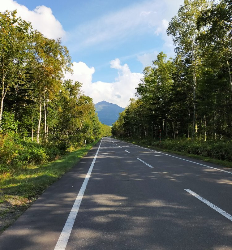 Shirakaba Road-美瑛町必去景点