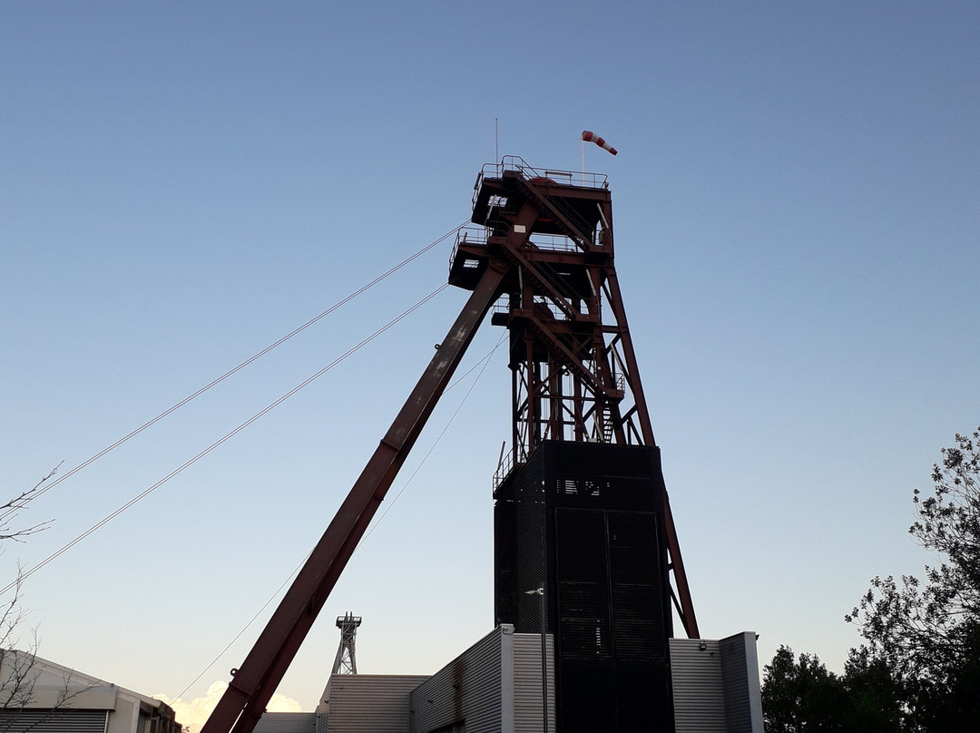 Musée de la Mine et de la Potasse景点图片