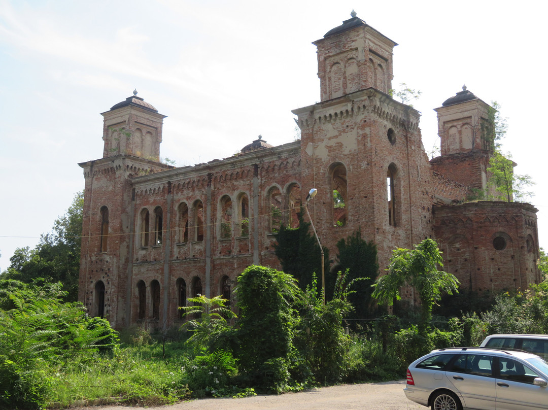 Vidin Synagogue-Vidin必去景点