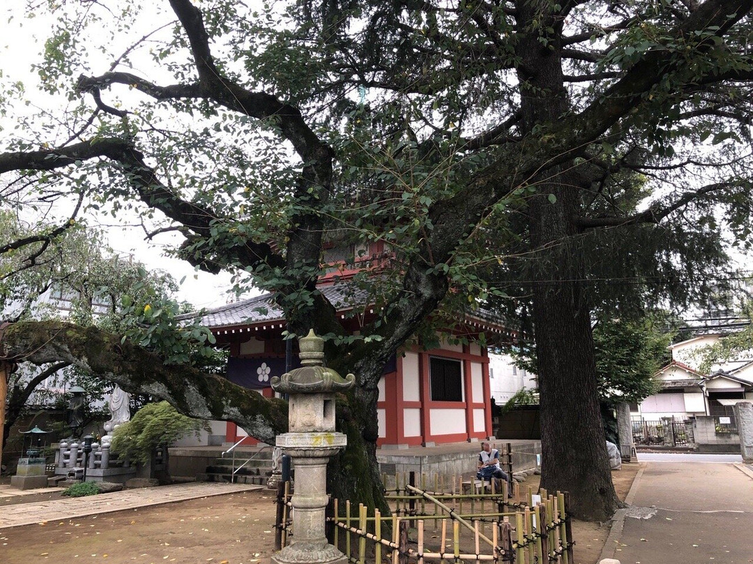 新井药师神社景点图片