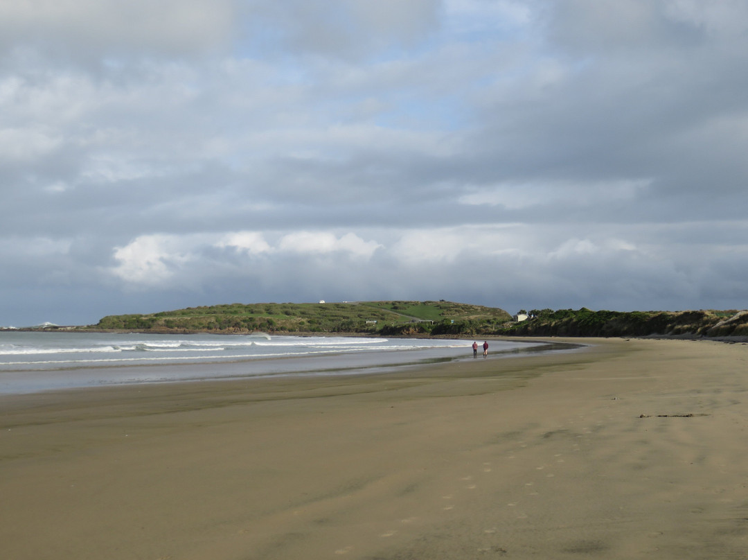 Curio Bay Accommodation主图