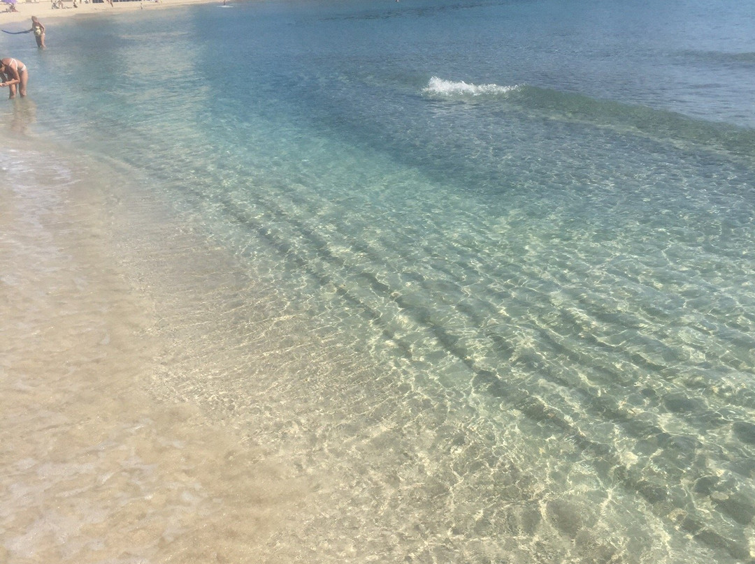 Playa Palmira景点图片