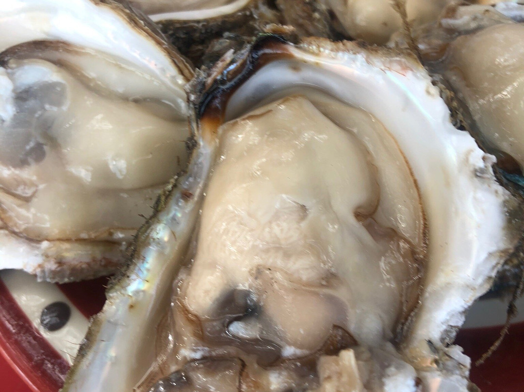 Las Islitas-San Blas必去景点