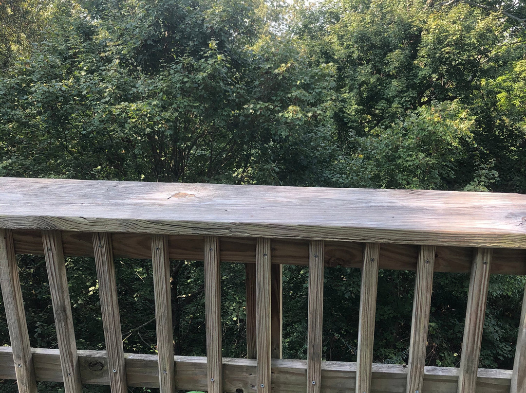 Lake Guntersville State Park Lodge主图