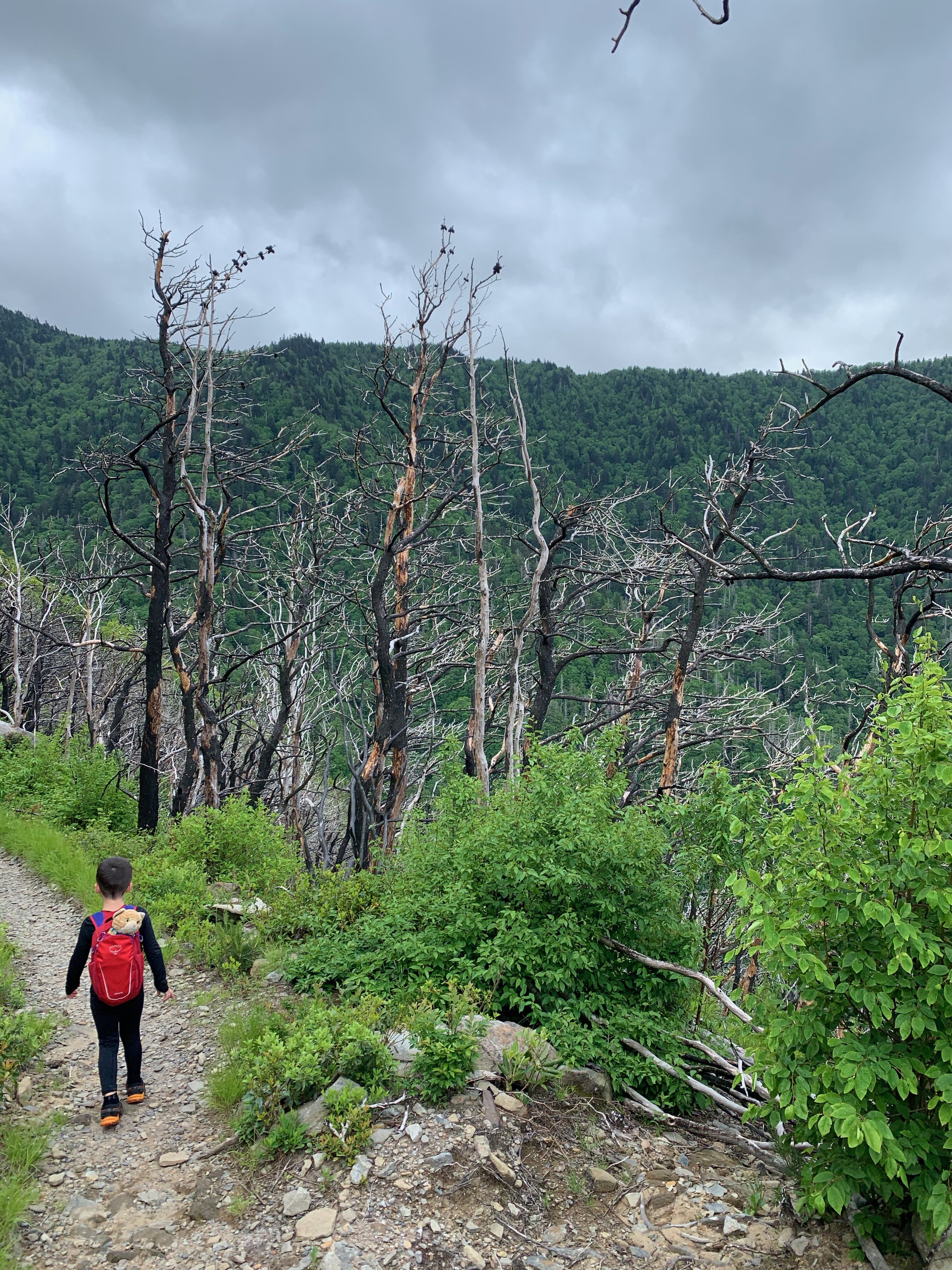 LeConte Lodge-浴室
