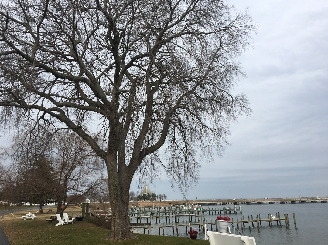 Choptank River Lighthouse景点图片