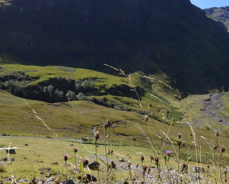 Loch Ness Tours-因弗内斯必去景点