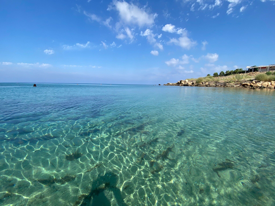 Sirena Bay-帕拉林尼必去景点