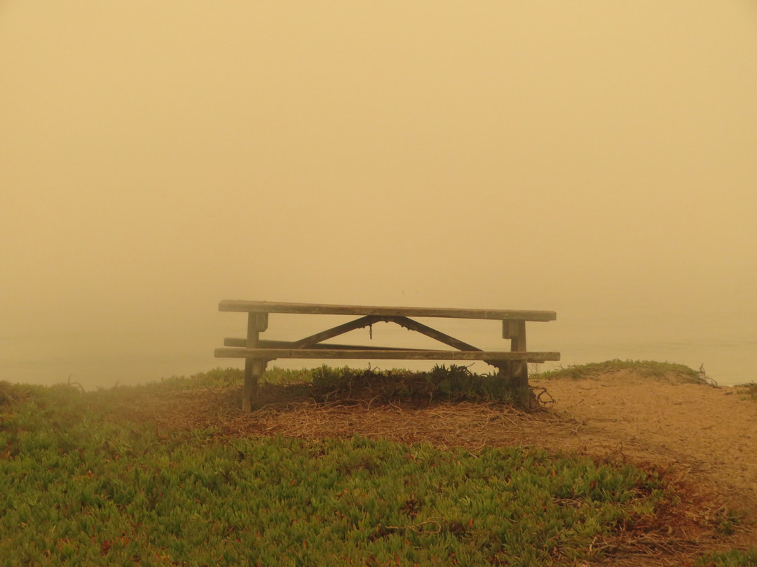 Venice Beach in Half Moon Bay-半月湾必去景点
