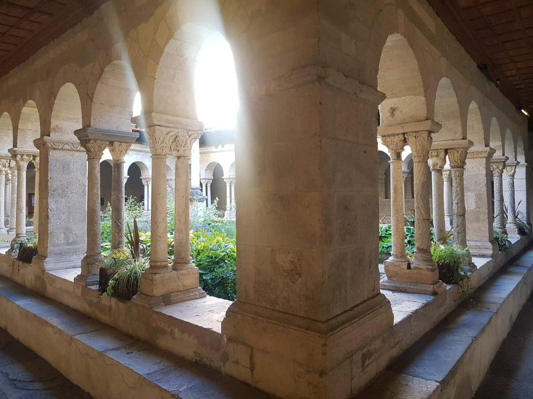 Cloître de Saint-André-le-Bas-维埃纳必去景点