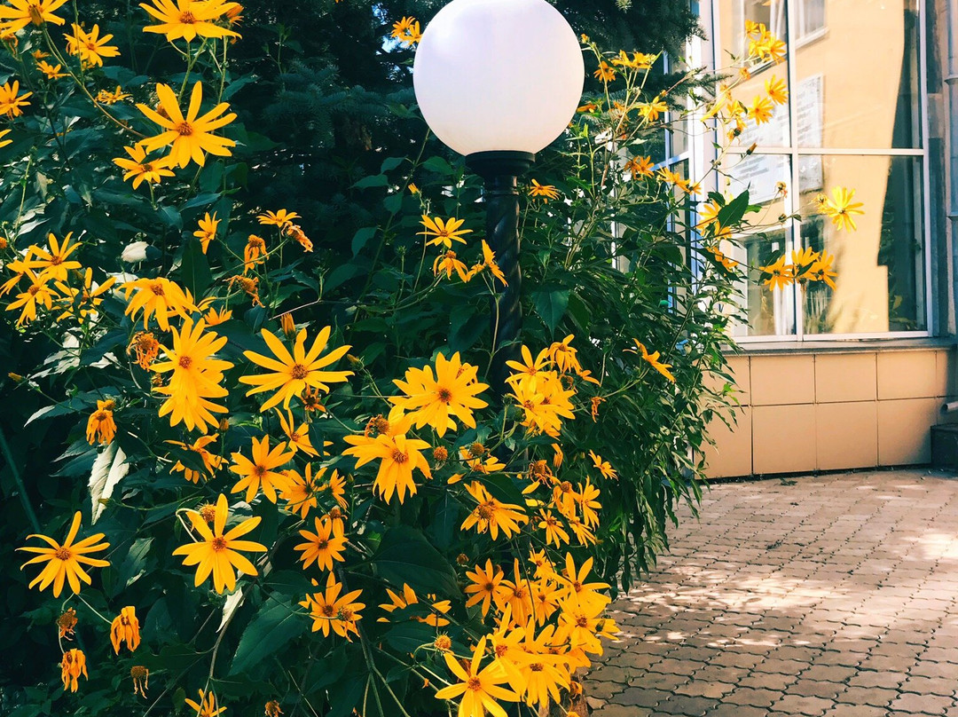 Botanical Garden-Petropavlovsk必去景点