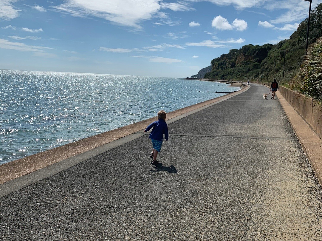 Wight Water Adventure Watersports-尚克林必去景点