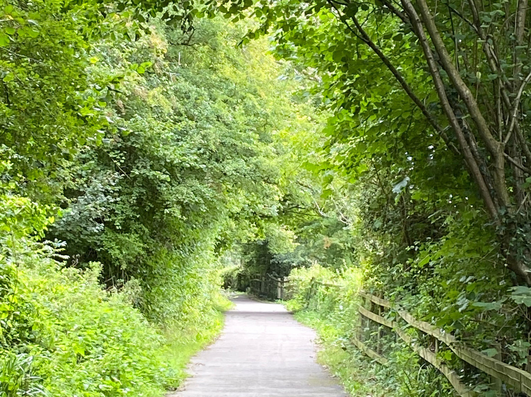 Porthkerry Country Park景点图片