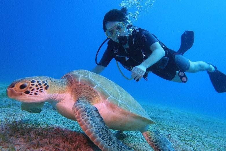 Tekirova Diving Center景点图片