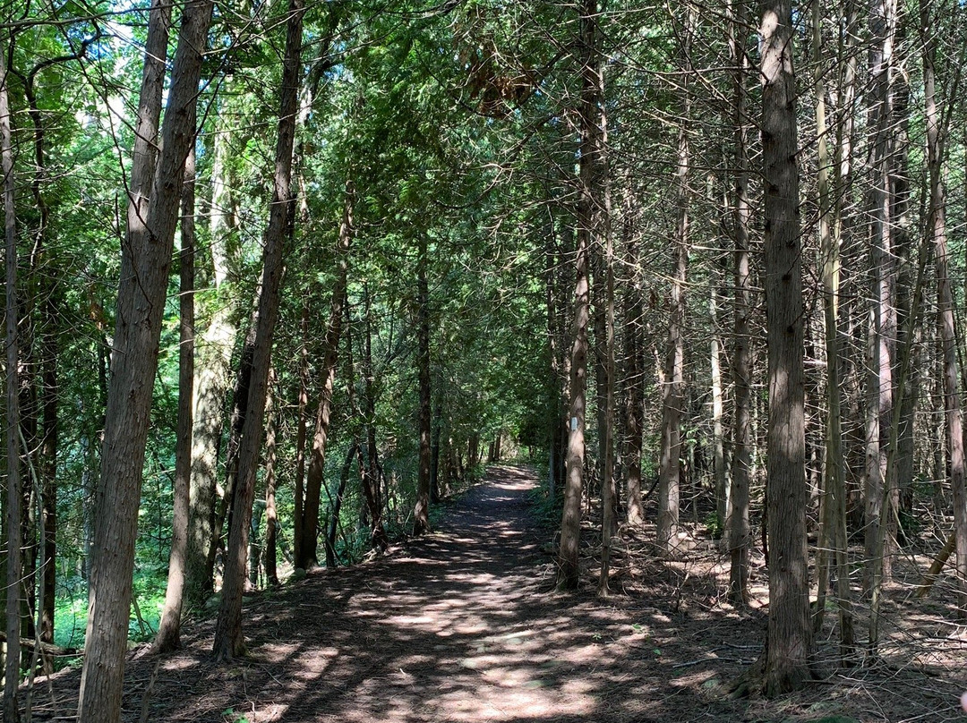 Falls Reserve Conservation Area景点图片