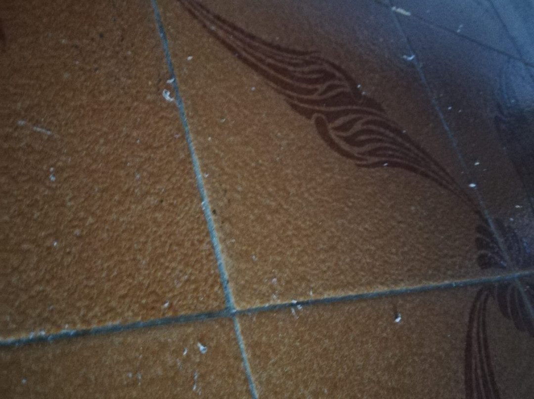 Cerullo's Paestum主图