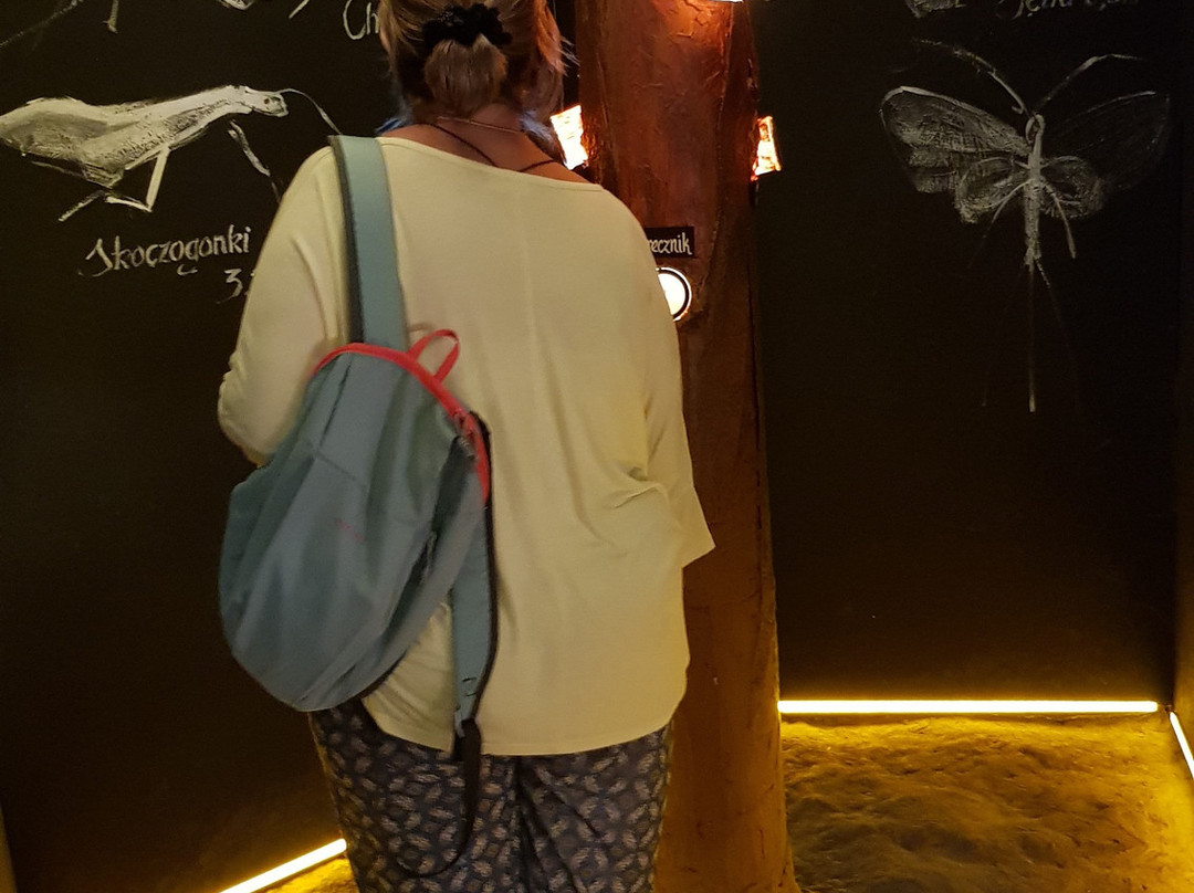 Amber Museum景点图片