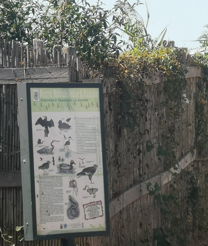 Il Padule di Fucecchio景点图片