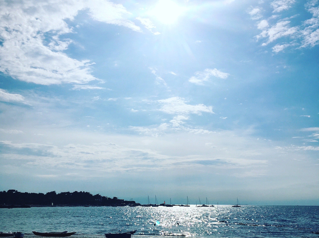 Sunêlia le Petit Bois