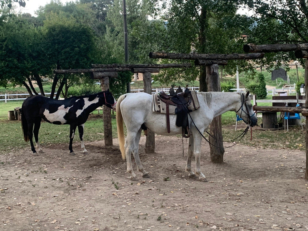 Lucca Horseriding景点图片