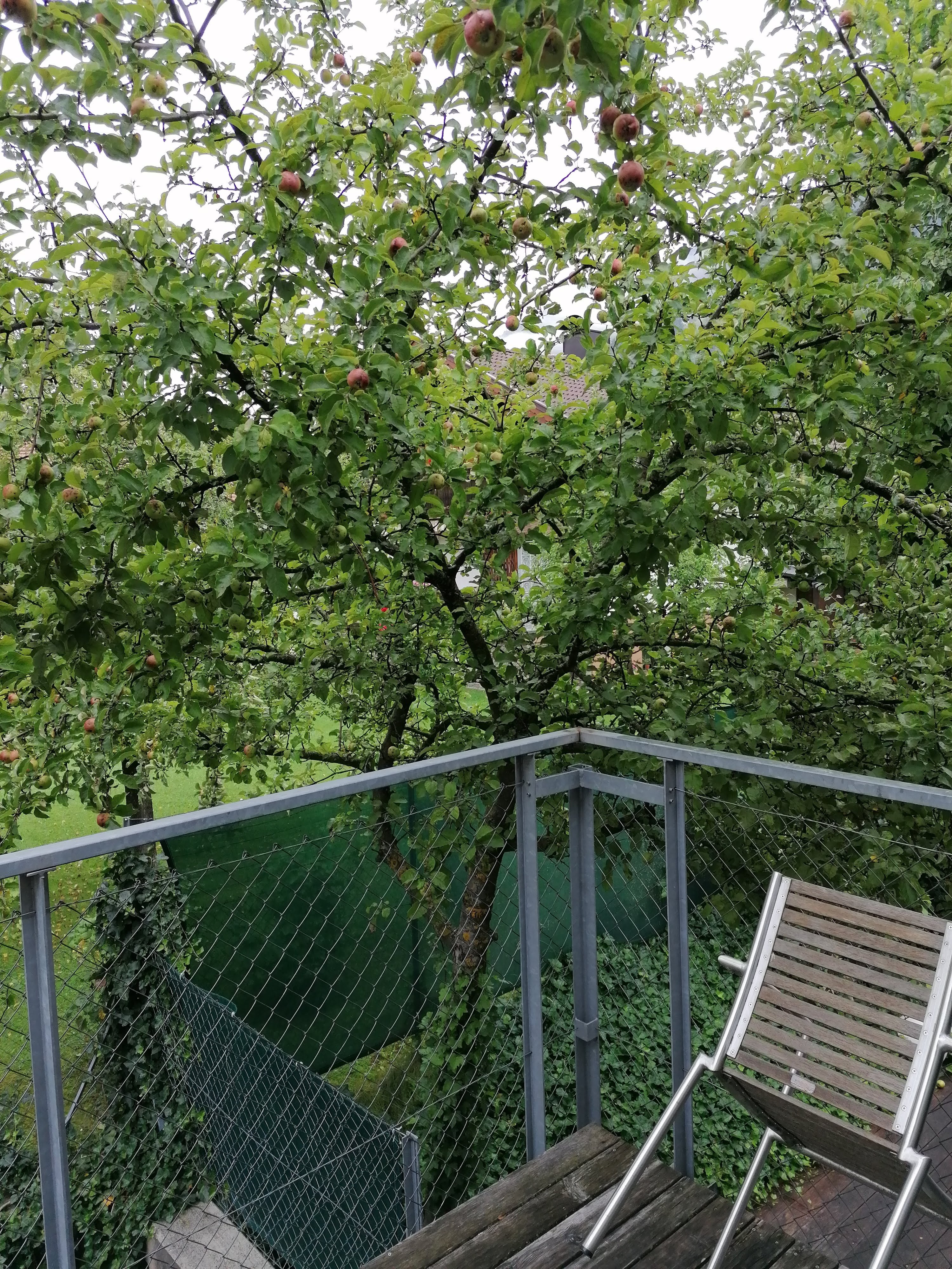 Perfler-酒店景观