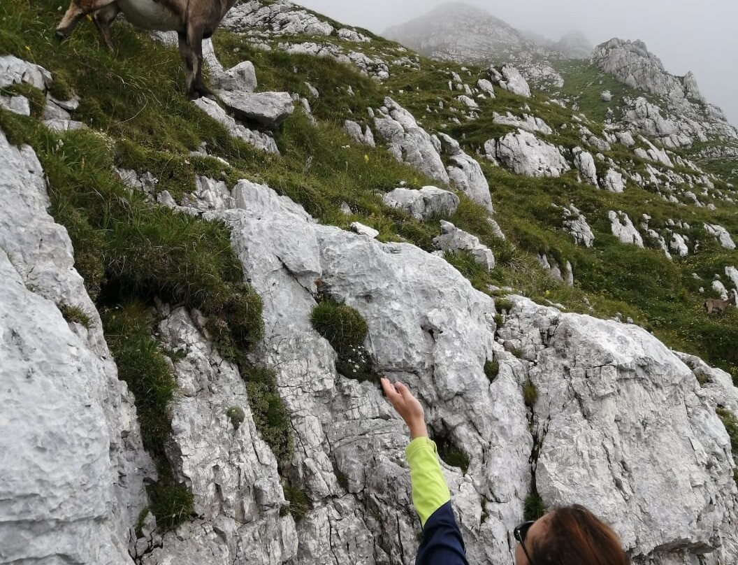 Albergo Al Sole主图